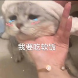 组长