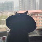 哆啦Z梦
