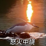 SKT-王杰希