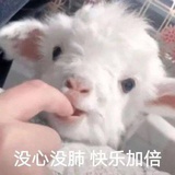 一个快乐的富婆
