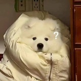 别惹耶耶