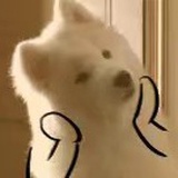 用户7509227966