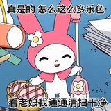 网络专业寡妇