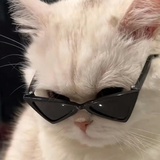 憋说屁话