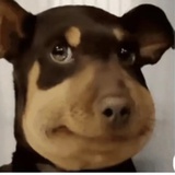 那呢那哩