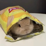 煎土豆块🥔