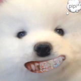 肌肉懵懵尼