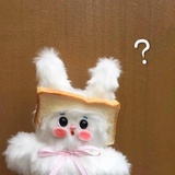 废话小说家