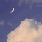 小小