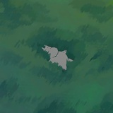 千雨千荨