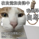 👉👈