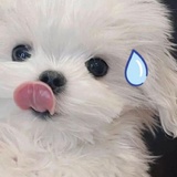 备忘录
