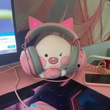 多弗小当家