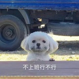 奇奇怪怪