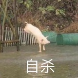 拿不起