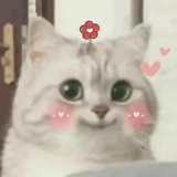 大西瓜～