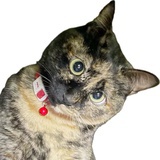 在人生路上暴走