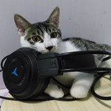 ⊙﹏⊙