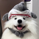 甜桃梦游记