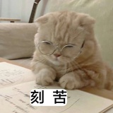 独行侠