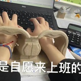 白色系龙丹妮