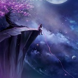 用户7164799603