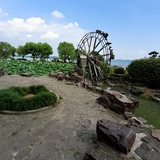 我行我素