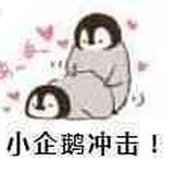 苏打薄荷