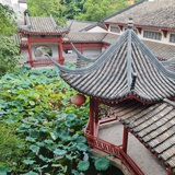 zhuni