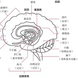 502线上