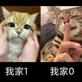 你管我呢