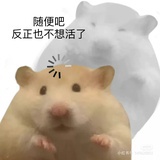 明天吃啥呀