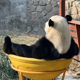 吃瓜不嫌事大