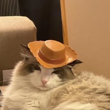 너