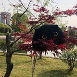大脸花狸猫