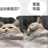 nscrqbsyvz