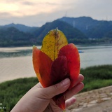 寒冰