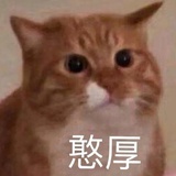 望望队立大功🥺