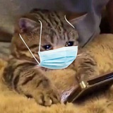 蕲苍