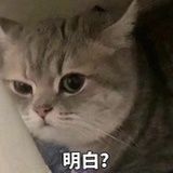 每天都是星期日