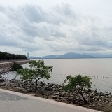 住在龙沟边的靓
