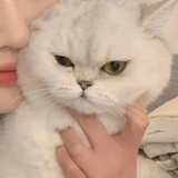momo