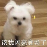 我就很棒！