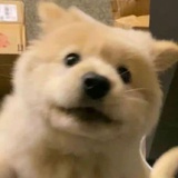 郅阳