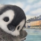 边懵圈