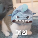 方天天_