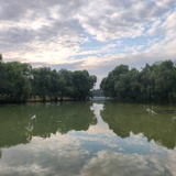 Ustinian