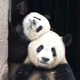圈圈