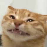 钱来钱来