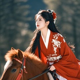大宝藏